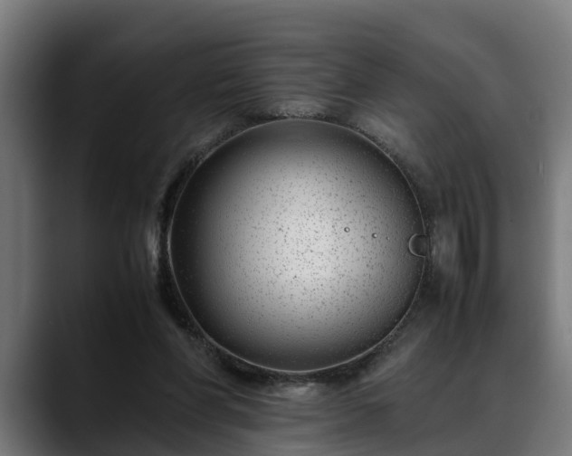 X0000088460206200705291536