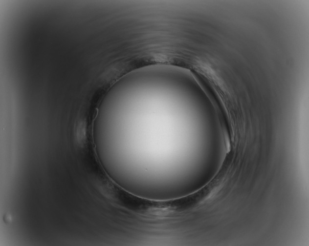 X0000088460213200705291536