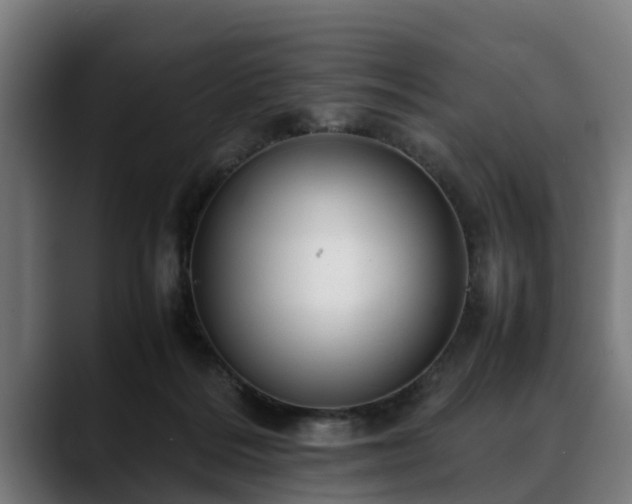 X0000088460220200705291536