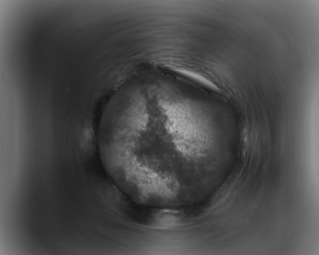 X0000088460222200705291536