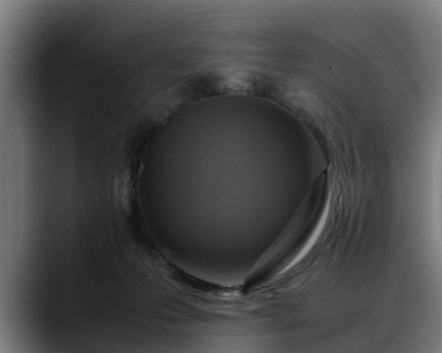 X0000088460223200705291536