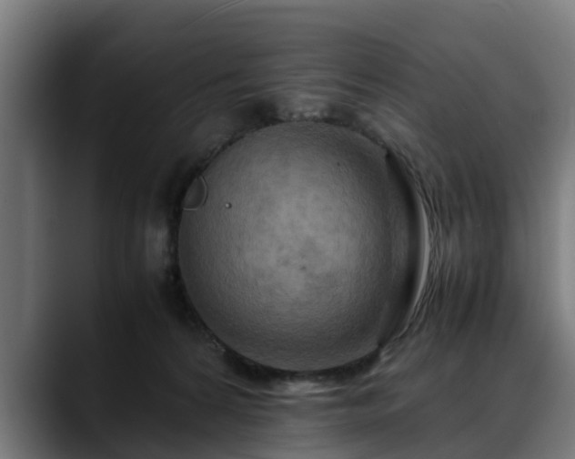 X0000088460224200705291536