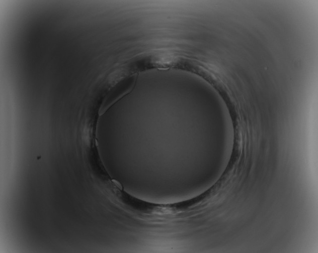 X0000088460227200705291536