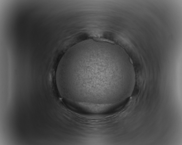 X0000088460229200705291536