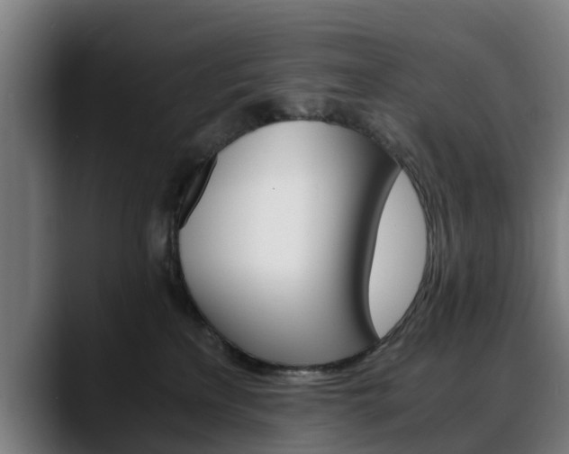 X0000088460233200705291536