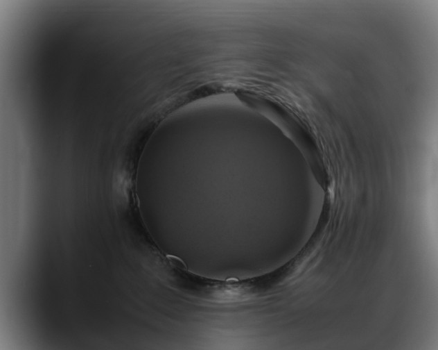 X0000088460235200705291536