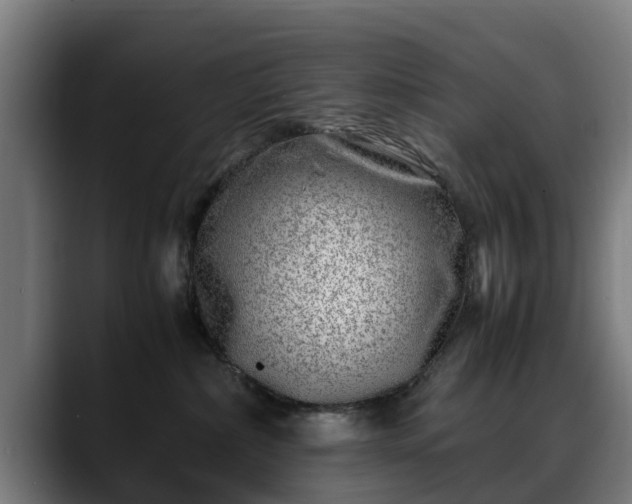 X0000088460236200705291536