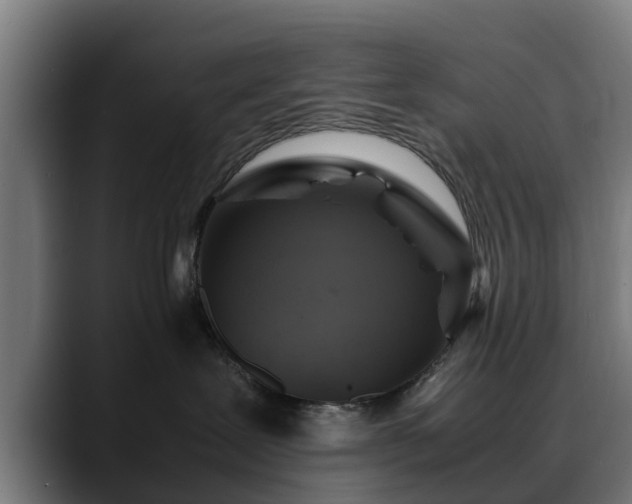 X0000088460239200705291536