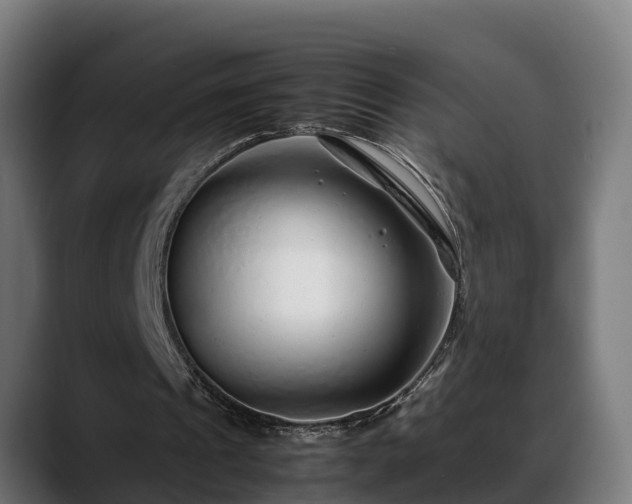 X0000088460241200705291535