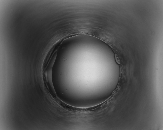 X0000088460242200705291535