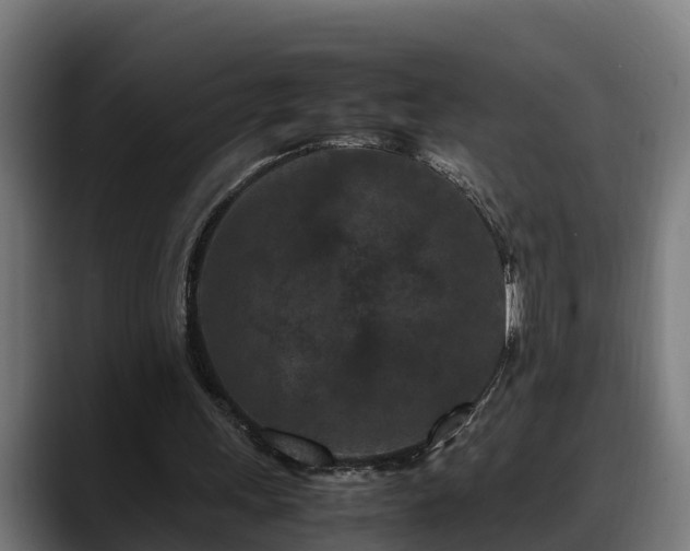 X0000088460243200705291535