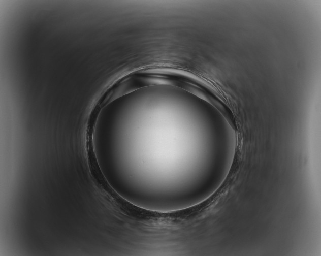 X0000088460244200705291536