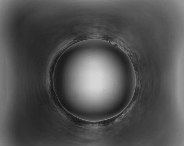 X0000088460245200705291536