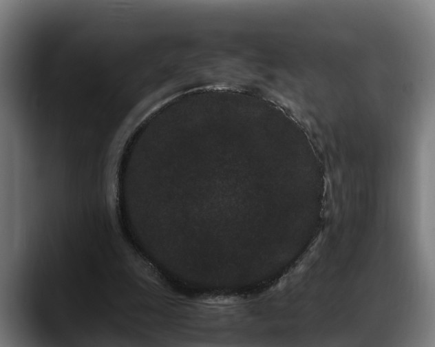 X0000088460247200705291536