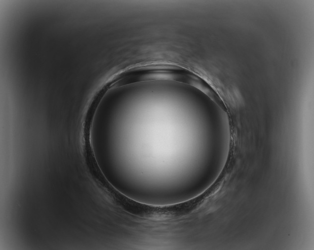 X0000088460248200705291536