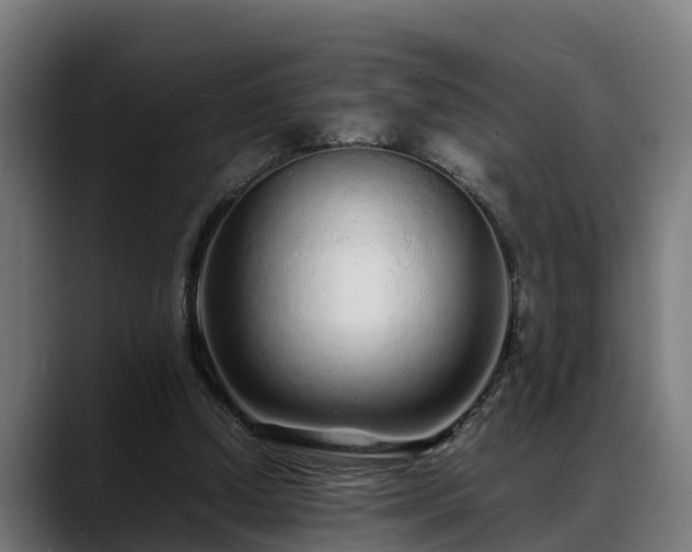 X0000088460250200705291536