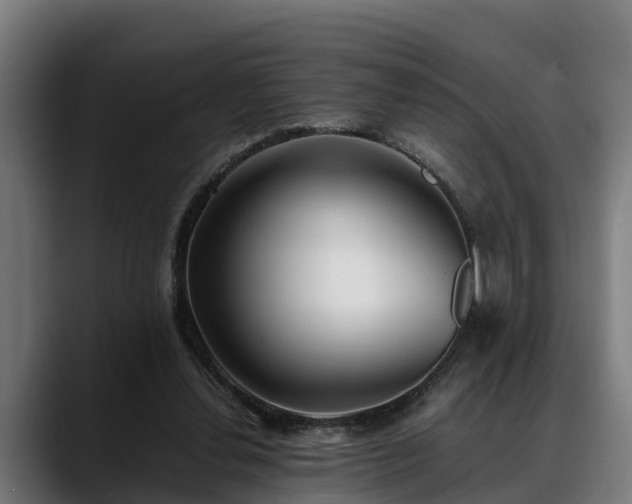 X0000088460252200705291536