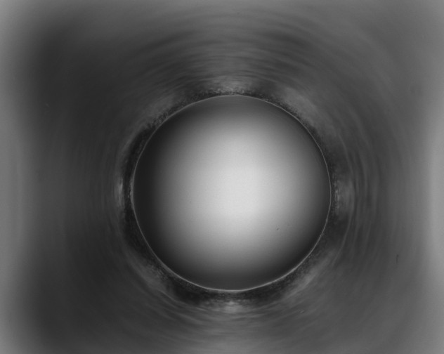 X0000088460254200705291536