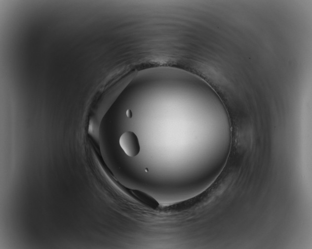 X0000088460256200705291536