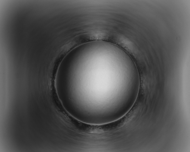 X0000088460258200705291536