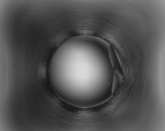 X0000088460259200705291536