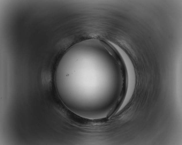 X0000088460260200705291536