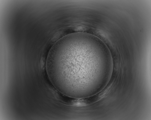 X0000088460273200705291536