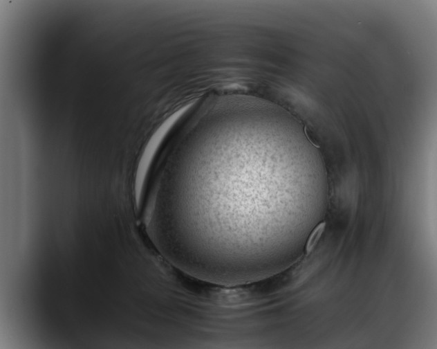 X0000088460277200705291536