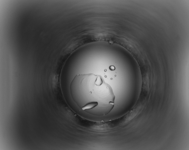 X0000088460278200705291536