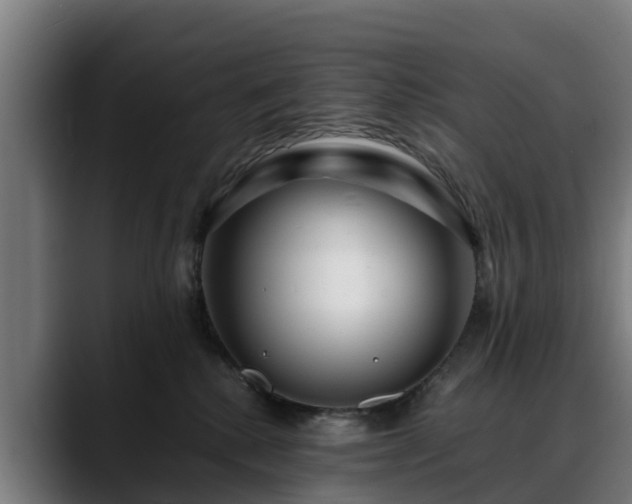 X0000088460280200705291536