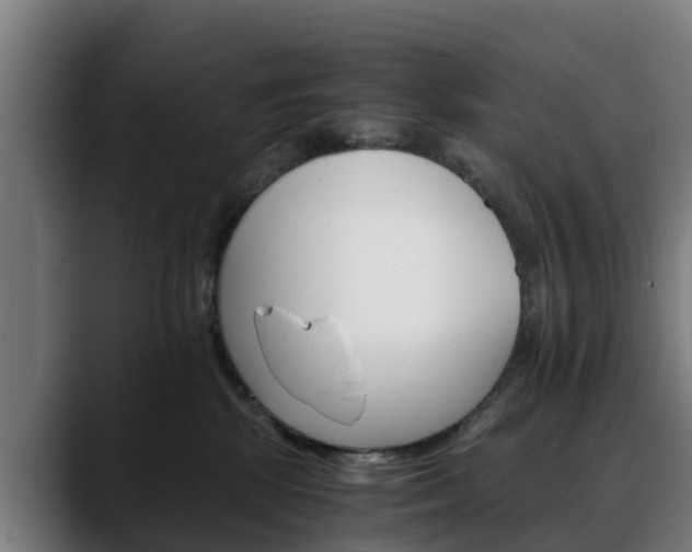 X0000088460281200705291536