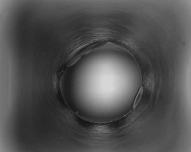 X0000088460283200705291536