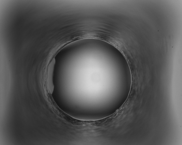 X0000088460289200705291535