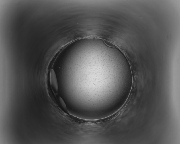 X0000088460290200705291535