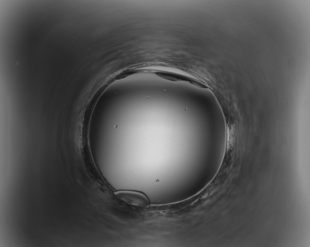 X0000088460291200705291535