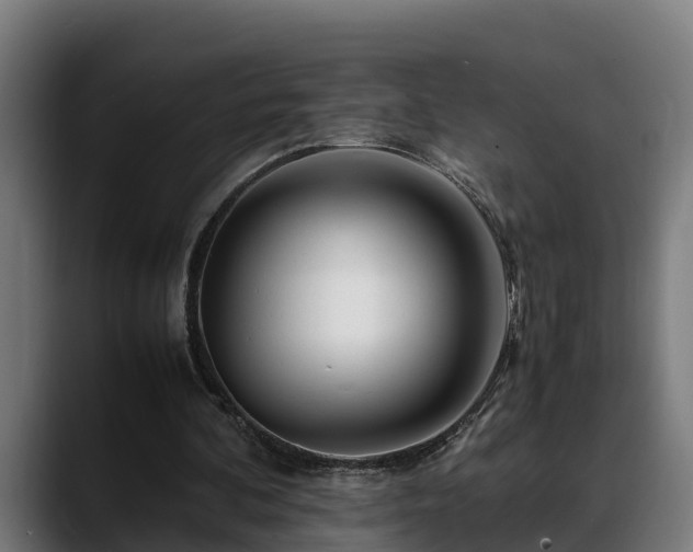 X0000088460292200705291535