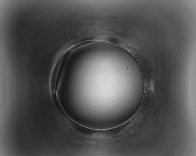 X0000088460294200705291535