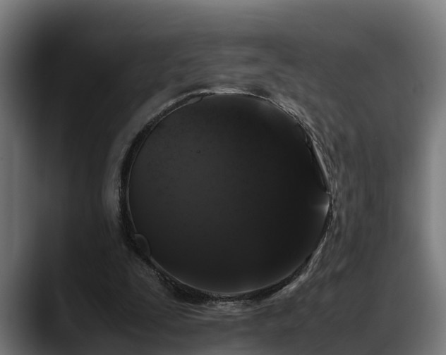 X0000088460295200705291535