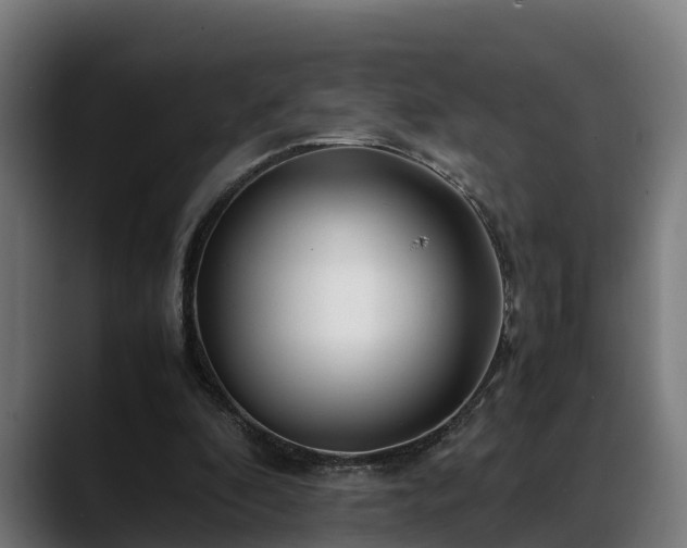 X0000088460296200705291535