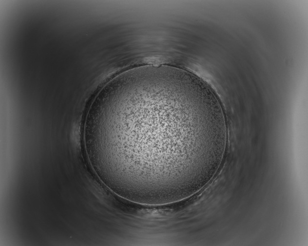 X0000088460297200705291535