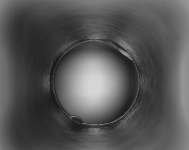 X0000088460298200705291535