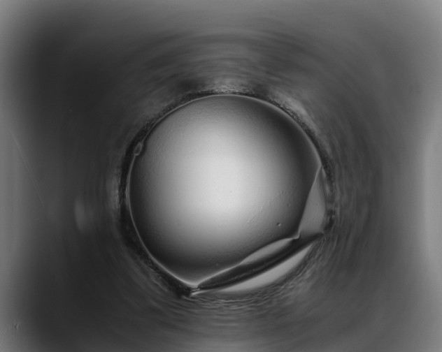 X0000088460299200705291535