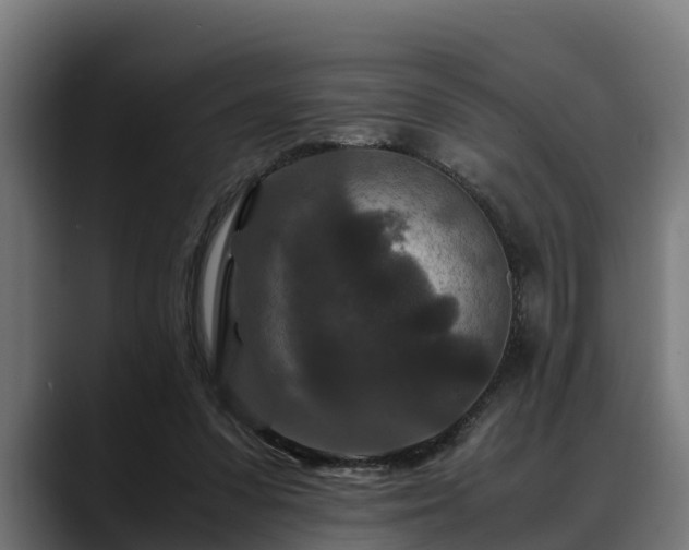 X0000088460303200705291535