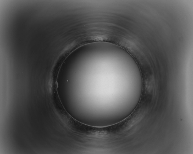 X0000088460304200705291535