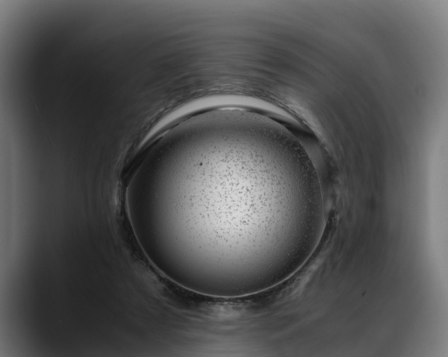 X0000088460305200705291535