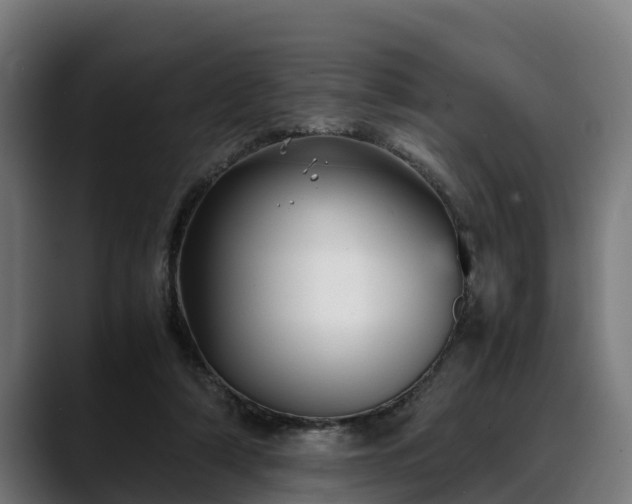 X0000088460306200705291535