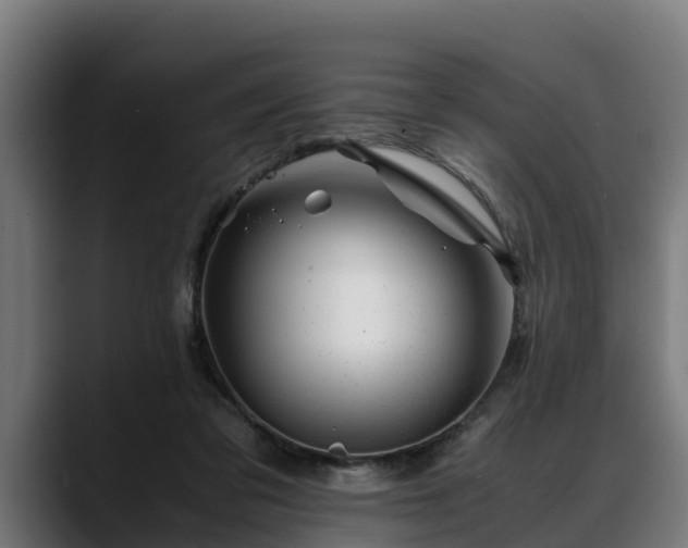 X0000088460309200705291535