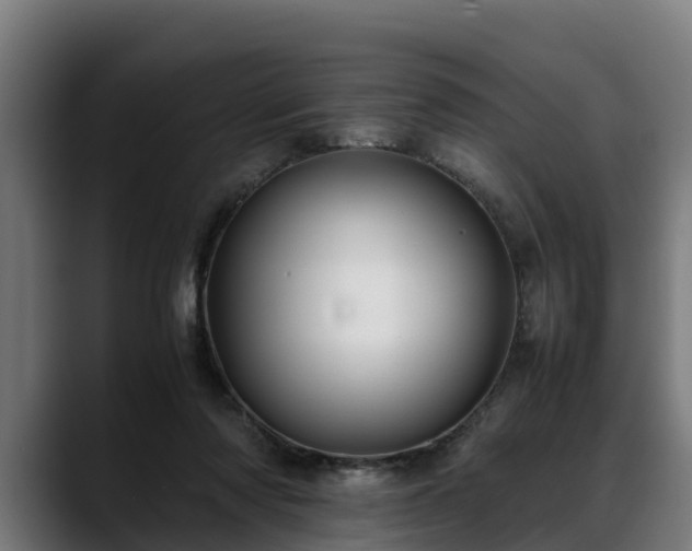 X0000088460310200705291535