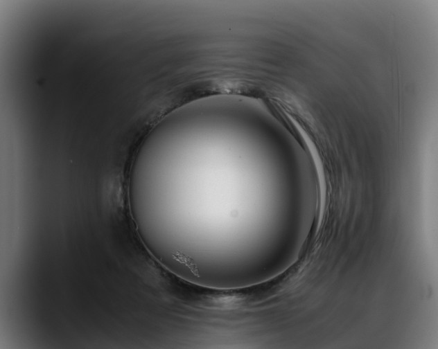 X0000088460313200705291535