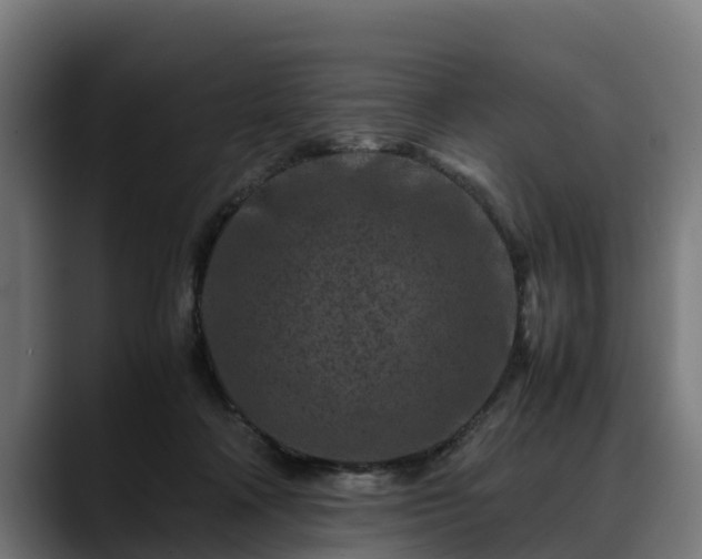 X0000088460314200705291535